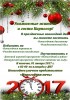 Где и как провести новогодние праздники в Карпогорах