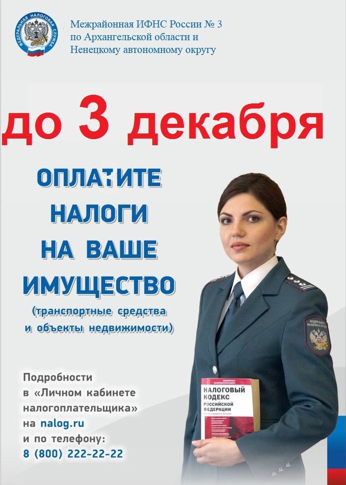 срок уплаты.jpg срок уплаты.jpg