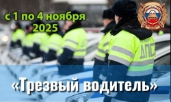 С 1 по 4 ноября на территории Пинежья будет проведено профилактическое мероприятие «Трезвый водитель», направленное на пресечение фактов управления транспортными средствами водителями в состоянии опьянения