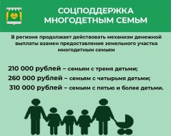 ДЕНЕЖНАЯ ВЫПЛАТА ВМЕСТО ЗЕМЕЛЬНОГО УЧАСТКА: ДЛЯ МНОГОДЕТНЫХ СЕМЕЙ ПРЕДУСМОТРЕНА МАТЕРИАЛЬНАЯ КОМПЕНСАЦИЯ