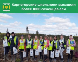 тысячу деревьев