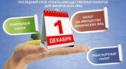 Налоговая напоминает об уплате имущественных налогов до 1 декабря