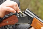 19 октября 2017 года состоялось совещание при главе администрации МО «Пинежский район» по вопросу систематического появления диких животных в населенных пунктах района.