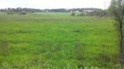 Невостебованные земельные доли