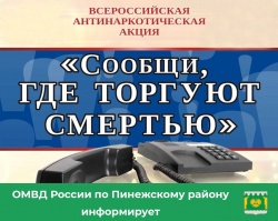 УВАЖАЕМЫЕ ПИНЕЖАНЕ!