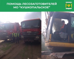 Помощь лесозаготовителя