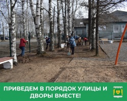 ЧИСТОЕ ПИНЕЖЬЕ