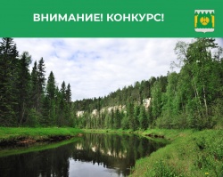 Экология Пинежья