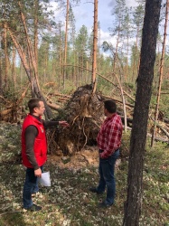 ЭЛЕКТРИЧЕСТВО ВОЗВРАЩАЕТСЯ В ДОМА ПИНЕЖАН