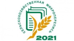 Сельскохозяйственная перепись