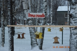 Торжественное открытие «Птичьей столовой»