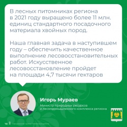Нацпроект «Экология»
