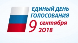 О ПОДГОТОВКЕ К ВЫБОРАМ В РАЙОНЕ РАССКАЗАЛ ТЕЛЕКАНАЛ "РЕГИОН 29"