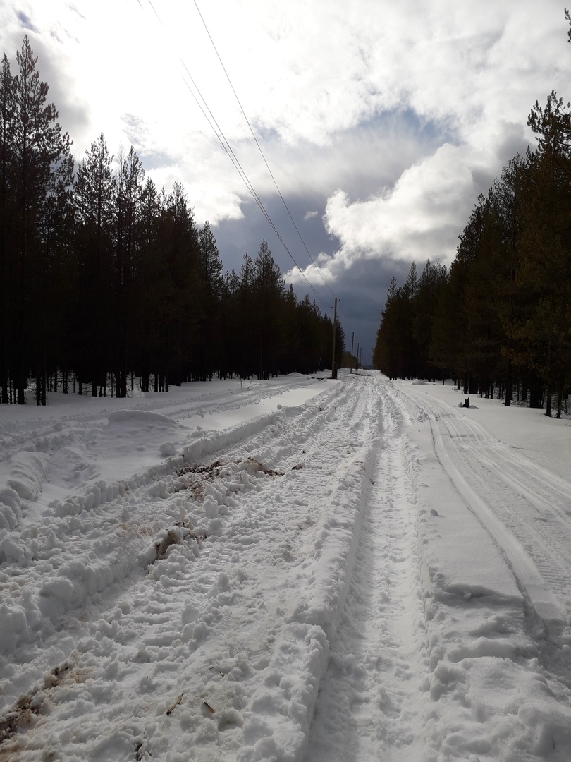 Карпогоры. Прогноз карпогоры. Подслушано карпогоры. Карпогоры. Прогноз карпогоры.