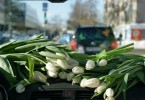 На дорогах района сегодня
