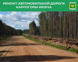 20 километров в этом году