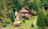 Что нужно знать о «Лесной амнистии»