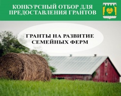 предоставление грантов на развитие семейных ферм