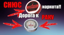 СНЮС - безобидное увлечение или шаг в пропасть?