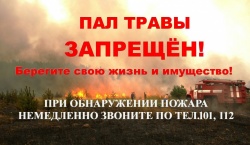 ПАЛ ТРАВЫ ЗАПРЕЩЕН
