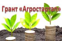 Комитет по экономическому развитию и прогнозированию информирует