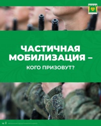 частичная мобилизация