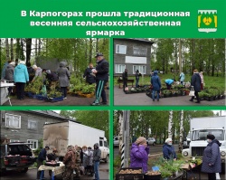 Состоялась ярмарка