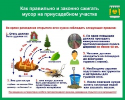 СПАЛИТЬ МУСОР И НЕ СПАЛИТЬ ДОМ