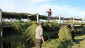 Курсы повышения  квалификации для начинающих фермеров