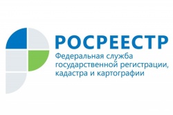 Об услугах Росреестра расскажут по горячей телефонной линии