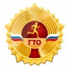 Молодежь Пинежья получает золотые значки ГТО