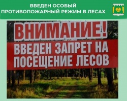 действует особый противопожарный режим.