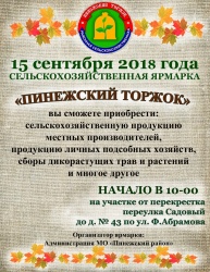 Ярмарочный день в карпогорах