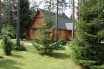 Для кого действует «лесная амнистия»?