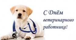 С днем ветработника!