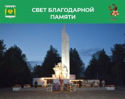 СТАЛО СВЕТЛЕЕ