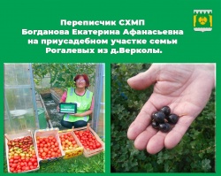 Завершилась сельхозперепись