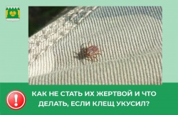 БУДЬТЕ ВНИМАТЕЛЬНЫ!