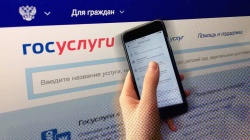 Заявка на новогоднюю ель через госуслуги