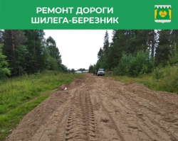 Шилега-Березник