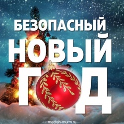 НОВЫЙ ГОД С ОСТОРОЖНОСТЬЮ
