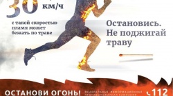 ОСТАНОВИСЬ, НЕ ПОДЖИГАЙ ТРАВУ