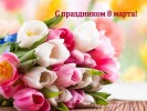 Уважаемые жительницы Пинежского района! Милые женщины!