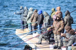 О любительском рыболовстве