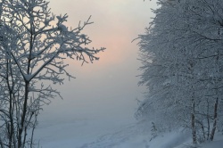 МЕТЕОПРЕДУПРЕЖДЕНИЕ