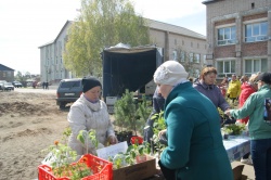 весенняя сельскохозяйственная ярмарка прошла в карпогорах