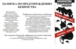 ПАМЯТКА ПО ПРЕДУПРЕЖДЕНИЮ БЕШЕНСТВА
