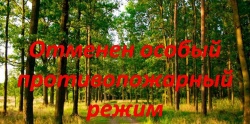 отмена особого противопожарного режима