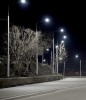 ОБУСТРОЙСТВО ЭЛЕКТРООСВЕЩЕНИЯ РЕГИОНАЛЬНОЙ ДОРОГИ В КАРПОГОРАХ ИДЁТ ПО ГРАФИКУ